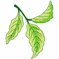 Leaves Embroidery Design 11 Leaves Embroidery Design 11